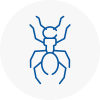 Ant Removals In Sunninghill