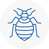 Bed Bug Extermination In Sunninghill