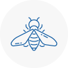 Bee Nest Removal Sunninghill