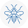 Sunninghill Hornet Nest Removals
