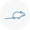 Mice Exterminators In Sunninghill