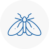 Moth Control Specialists In Sunninghill