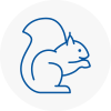 Sunninghill Rodent Removals