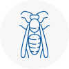 Sunninghill Wasp Nest Removal